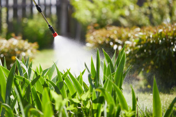 Tamper-Resistant Bait Stations for Rodents in River Park