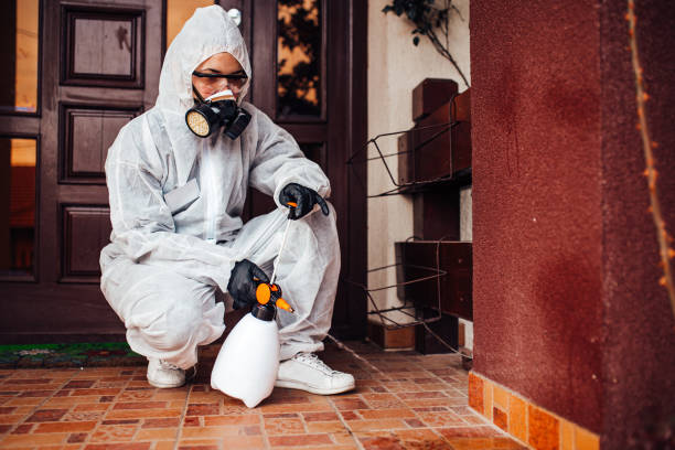 Attic and Crawl Space Rodent Treatment in River Park