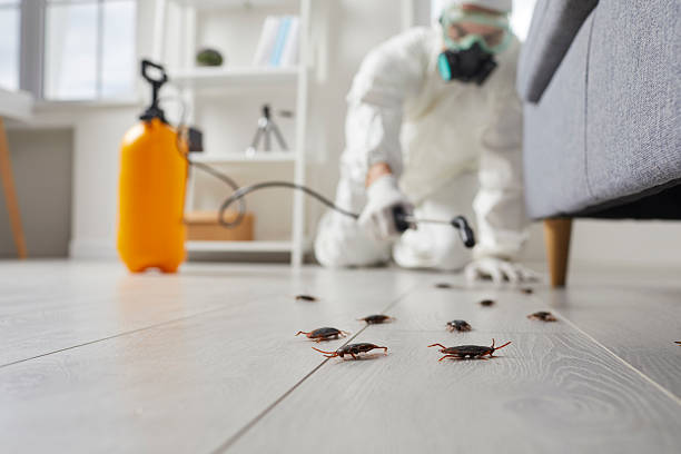 Commercial Rodent Management in River Park